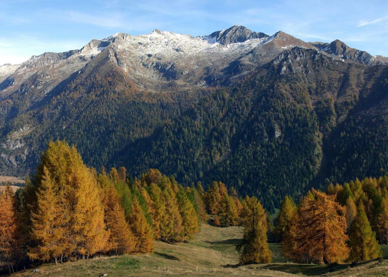 Casa Vacanza Pineta Malonno Экстерьер фото