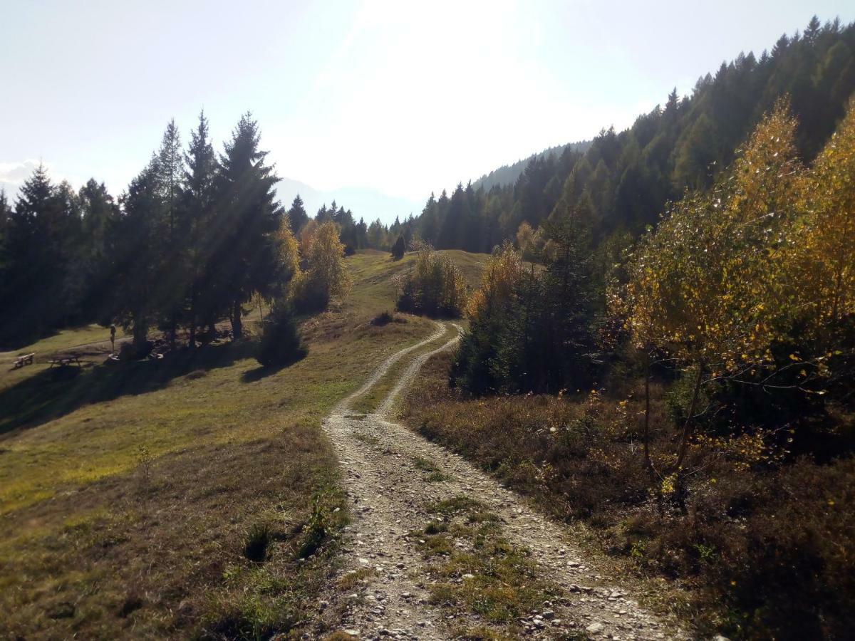 Casa Vacanza Pineta Malonno Экстерьер фото